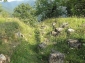 Ruinele Cetatii Dacice Capalna din Sasciori - sasciori